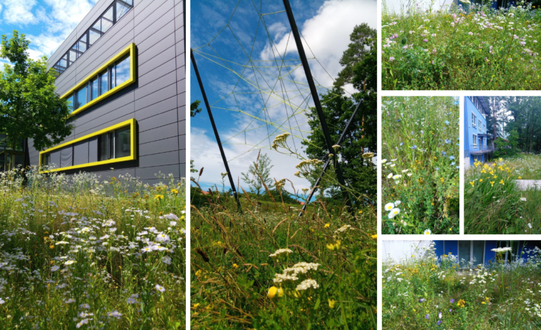 Netzwerk Natur und Technik an der Friedrich Alexander Universität Erlangen Nürnberg