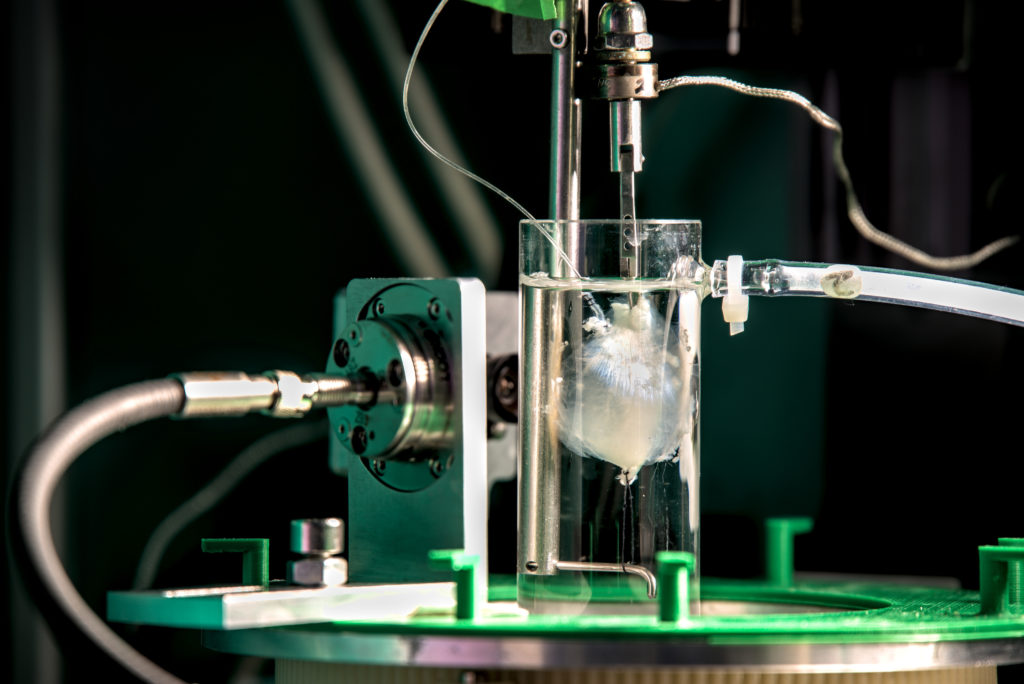 Bioreactors in Tissue Engineering