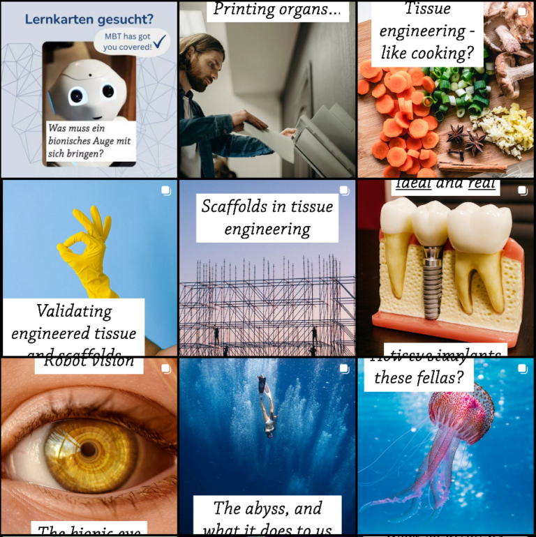 MBT on Social Media – Flashcards for Exam Preparation