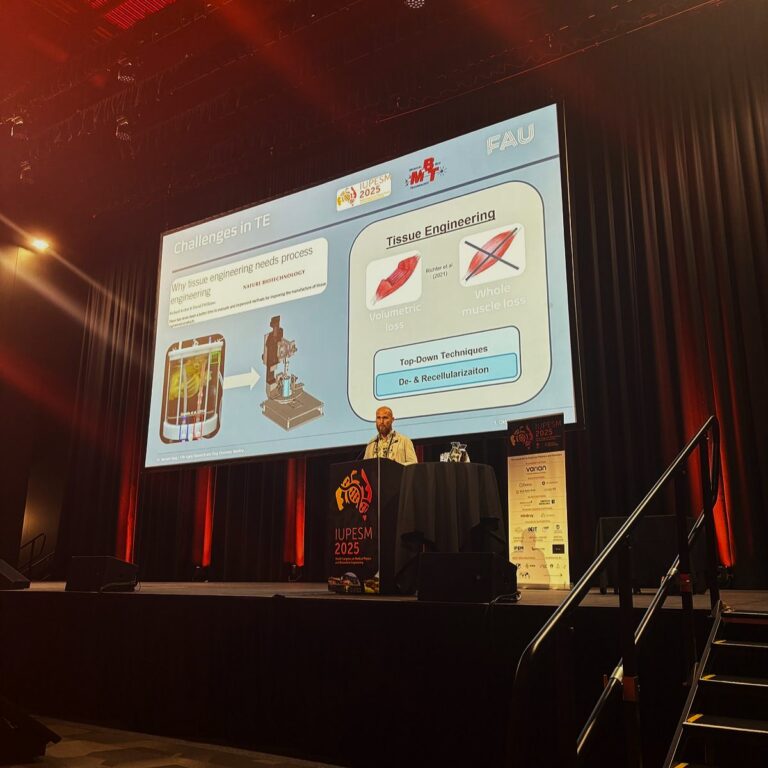 Advancing skeletal muscle regeneration: A novel bioreactor system with real-time quality inline-monitoring and adaptive control